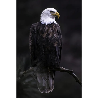 Leinwandbild Adler im Dunkeln Hochformat