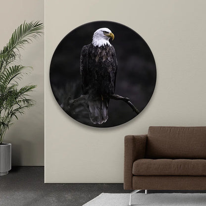 Acrylbild Adler im Dunkeln Kreis