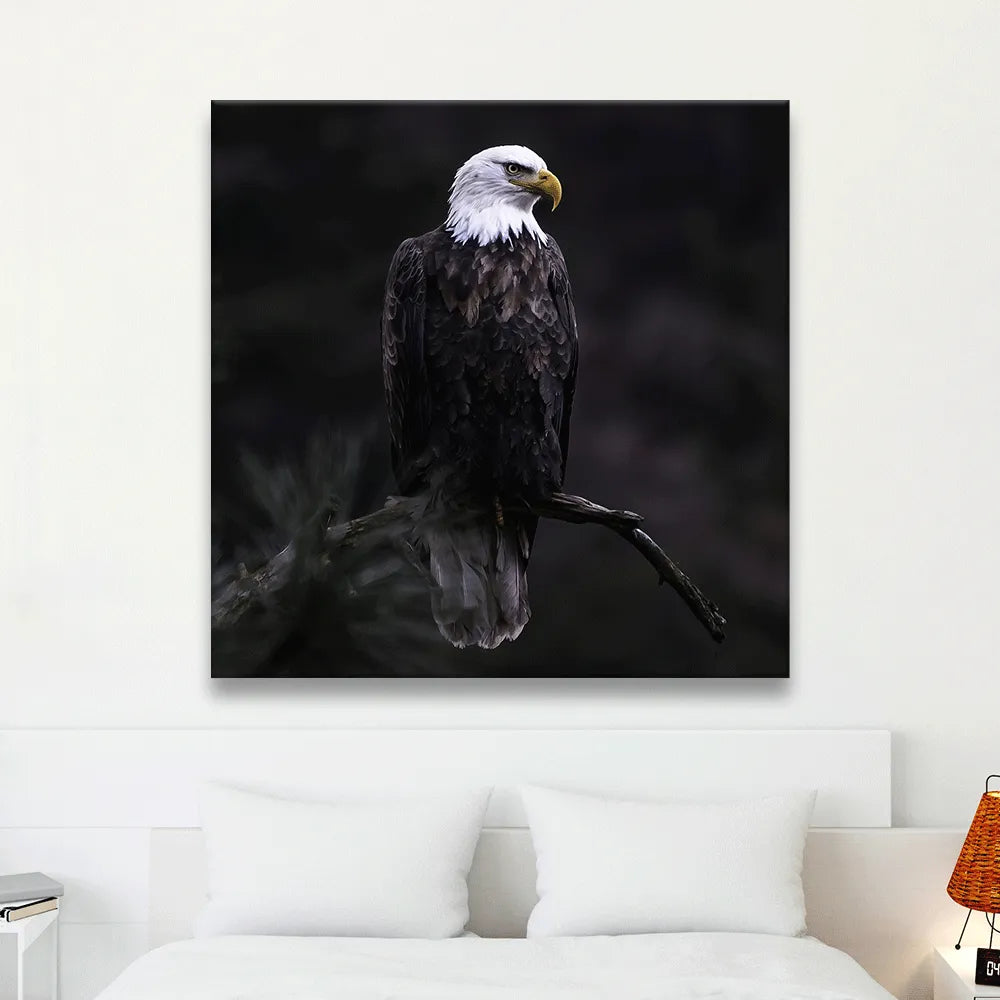 Acrylbild Adler im Dunkeln Quadrat