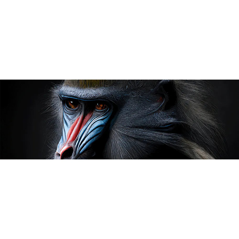 Acrylbild anmutiger Mandrill Panorama Quer