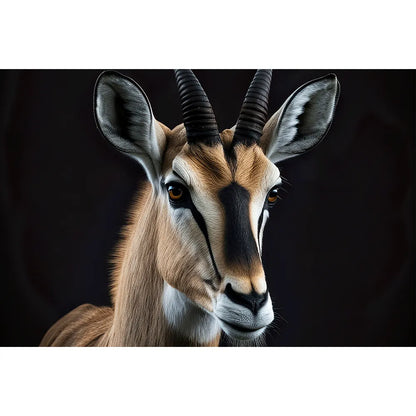 Aludibondbild Antilope Querformat