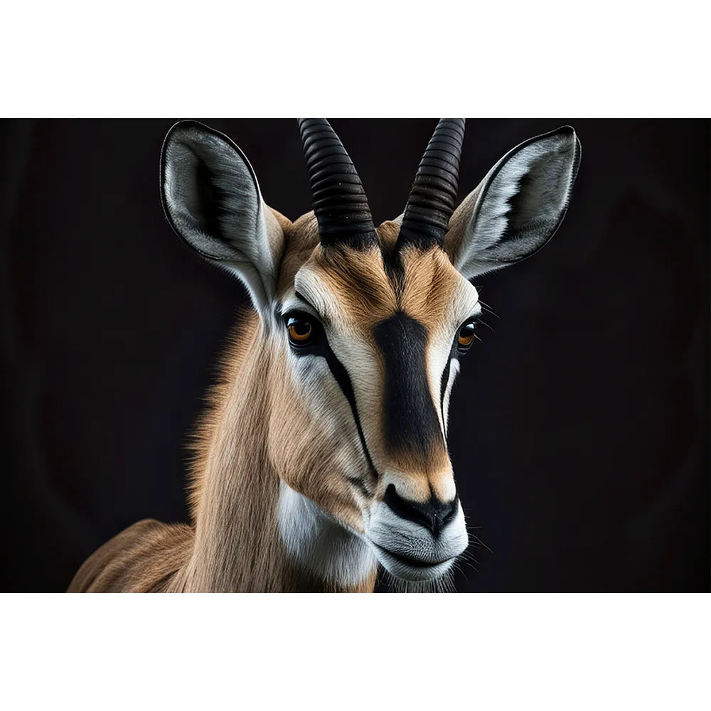 Leinwandbild Antilope Querformat