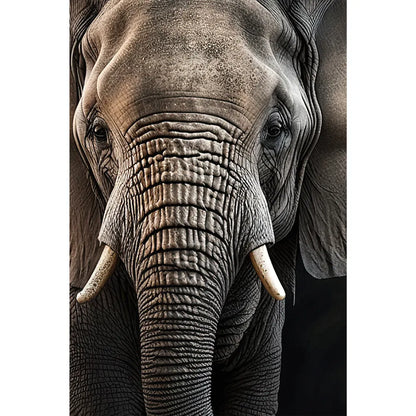 Wechselbild Elefant im Dunkeln Hochformat