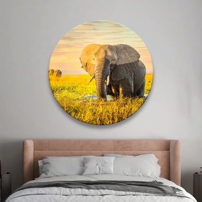 Aludibondbild Elefant Kreis