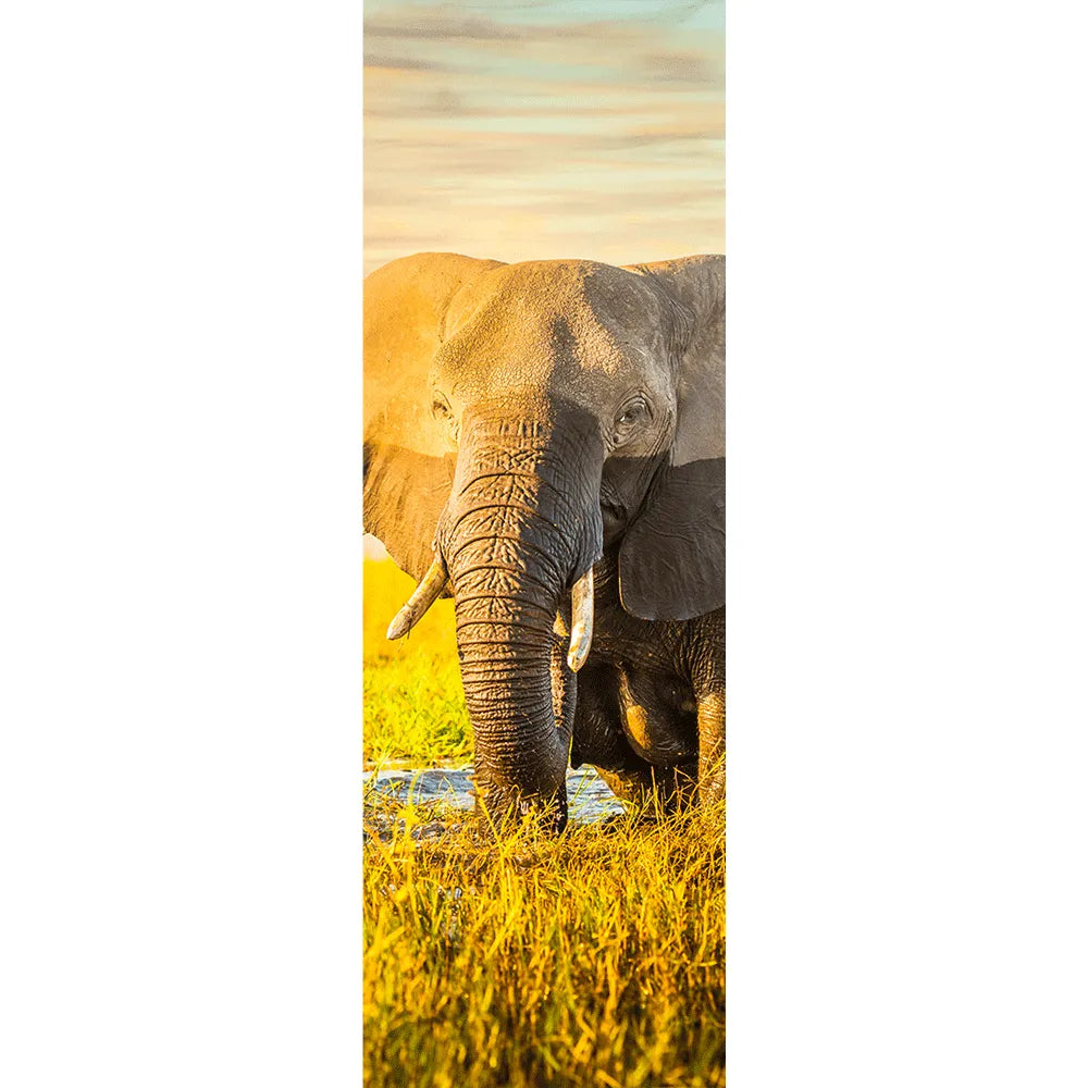 Leinwandbild Elefant Panorama Hoch