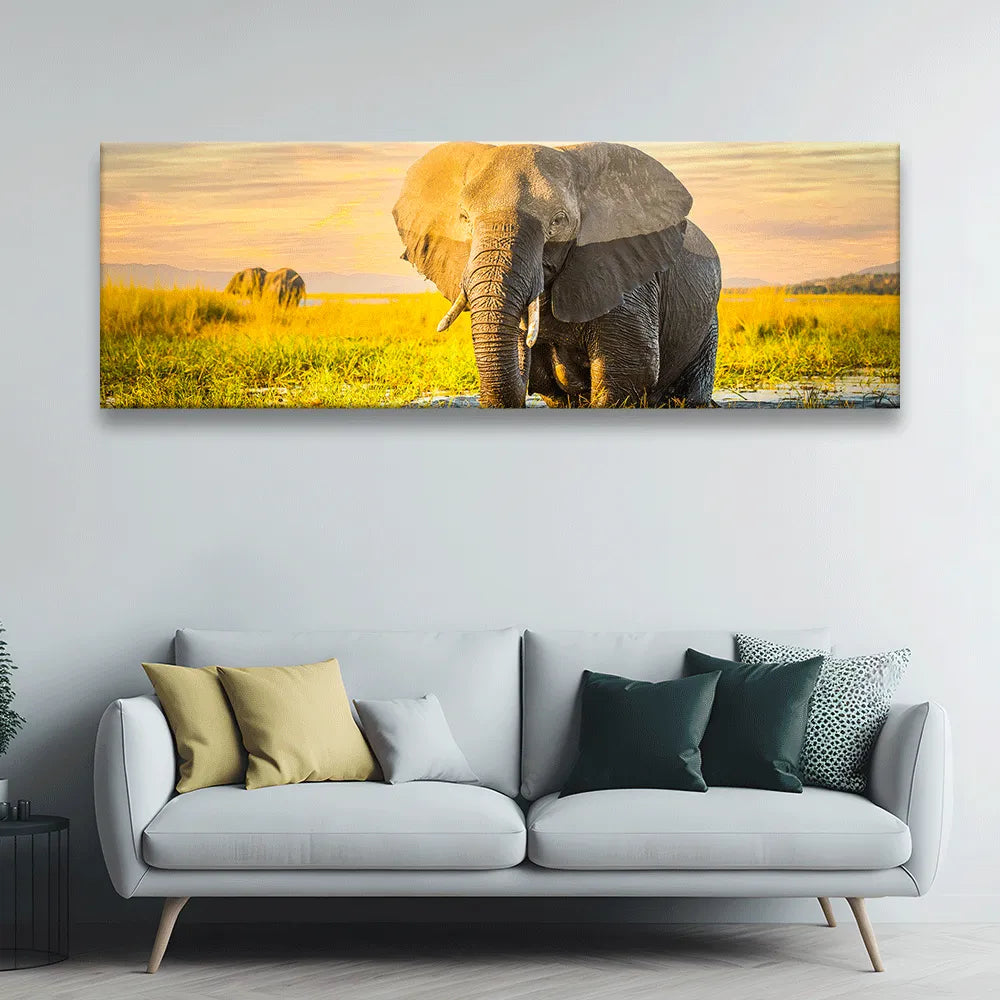 Acrylbild Elefant Panorama Quer