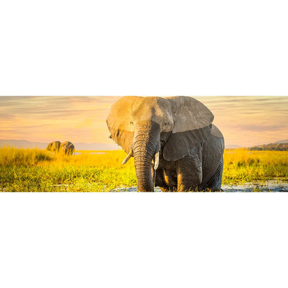 LED Bild Elefant Panorama Quer