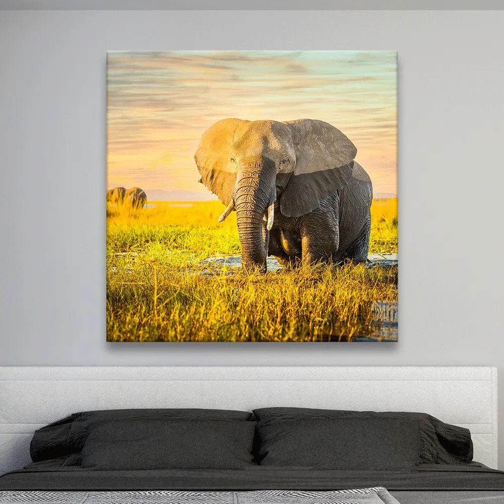 Poster Elefant Quadrat