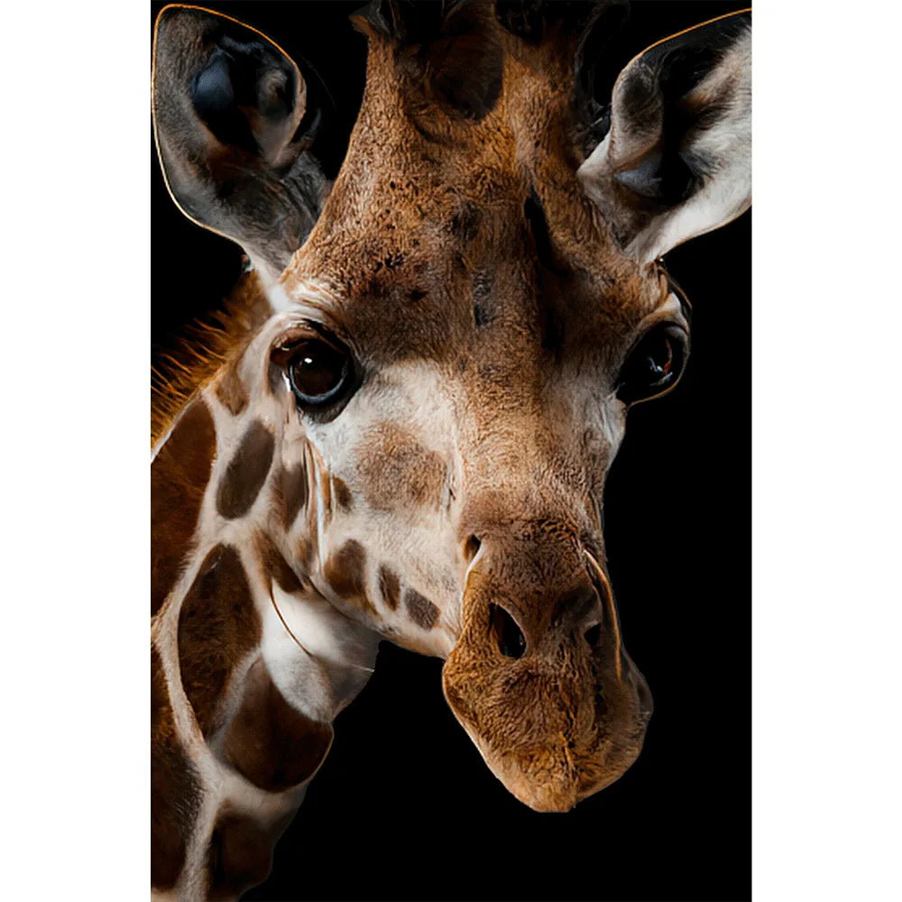 Acrylbild Giraffe Hochformat