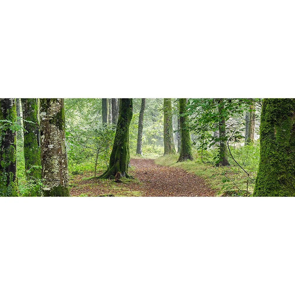 Acrylbild grüner Wald Panorama Quer