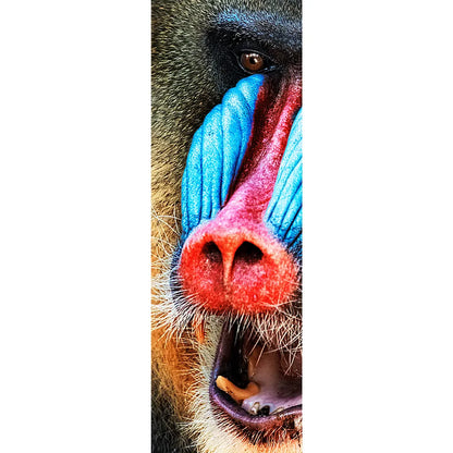 Acrylbild Mandrill Panorama Hoch