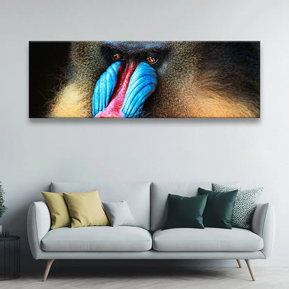 Acrylbild Mandrill Panorama Quer