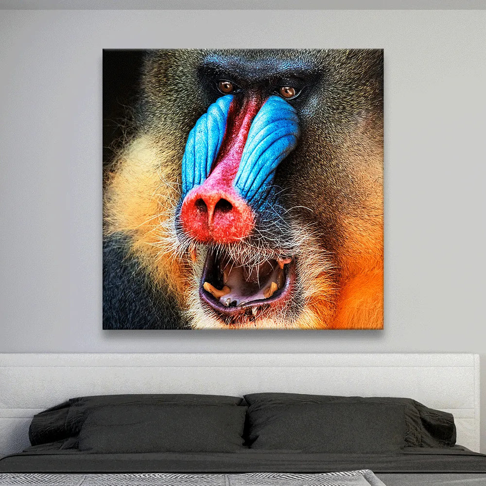 Acrylbild Mandrill Quadrat