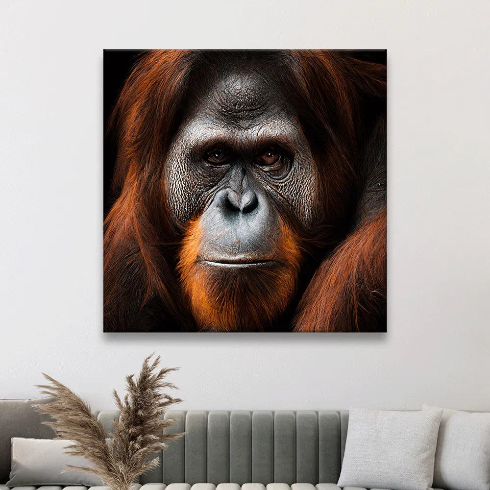 Acrylbild Orang Utan Quadrat