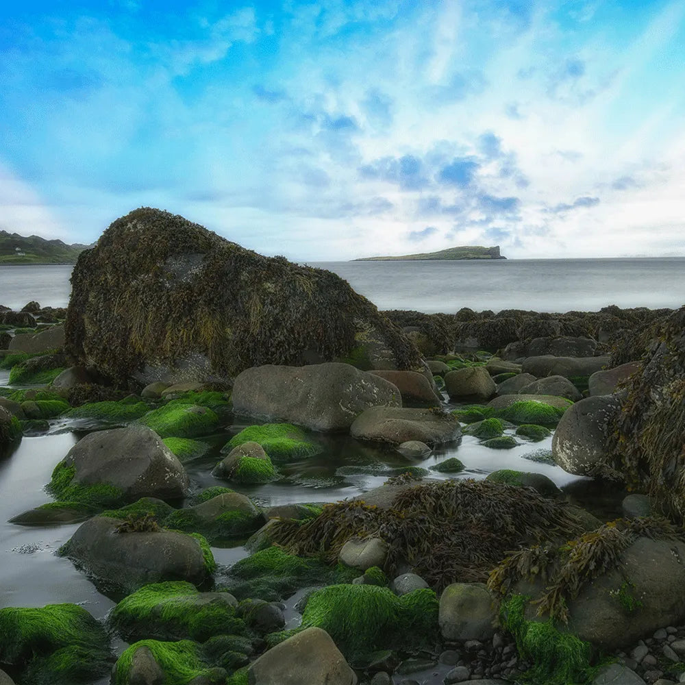 Leinwandbild Schottland Quadrat