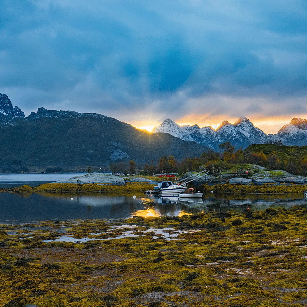 LED Bild Sonnenaufgang Lofoten Quadrat