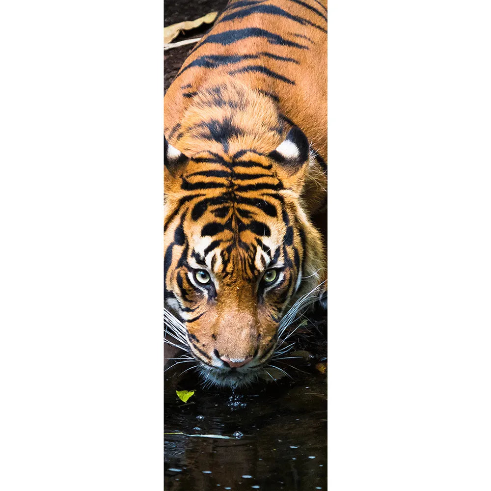 Alugebürstet Sumatra Tiger Panorama Hoch