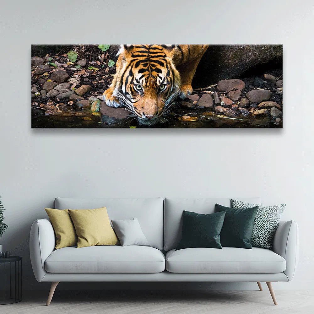 Poster Sumatra Tiger Panorama Quer