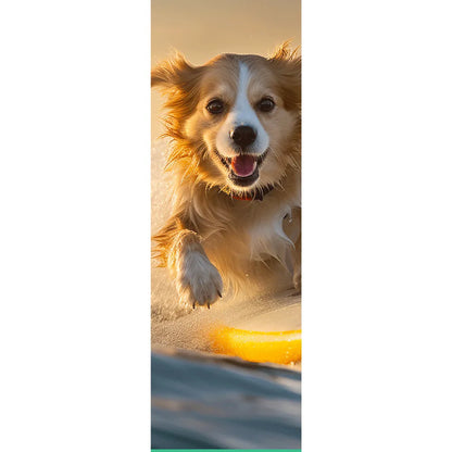 Wechselbild surfender Hund Panorama Hoch