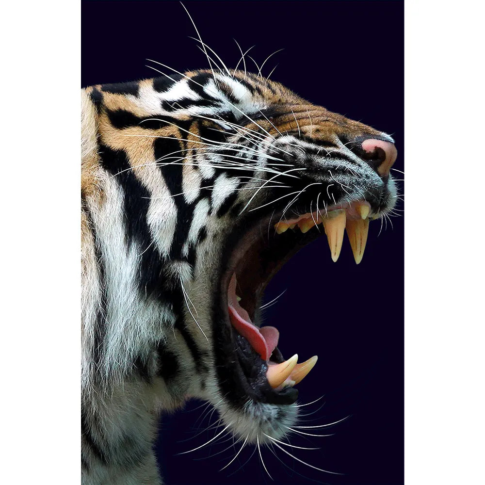 LED Bild Tiger Hochformat