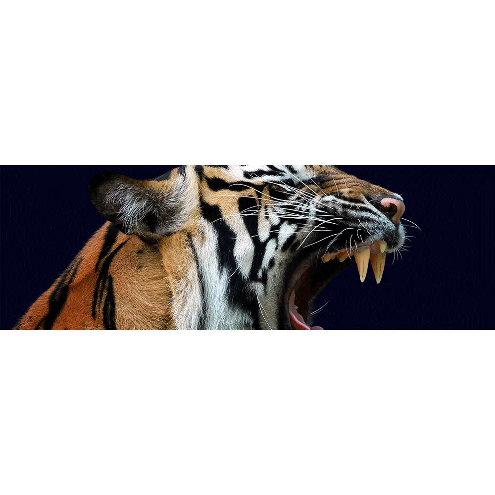 LED Bild Tiger Panorama Quer