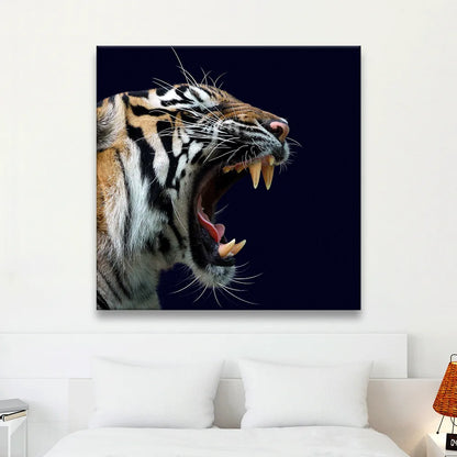 Poster Tiger Quadrat